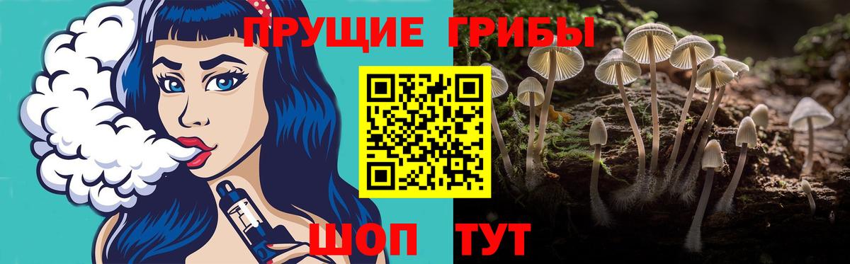 Назрань  Галлюциногенные грибы Psilocybe  Вход с VPN 