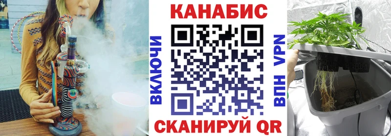 как найти закладки  Назрань  Каннабис White Widow 